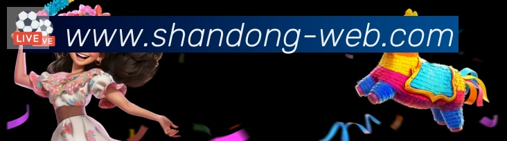 奖项证书