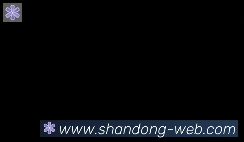 山东体彩合作伙伴
